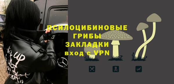 ПСИЛОЦИБИНОВЫЕ ГРИБЫ Алексеевка