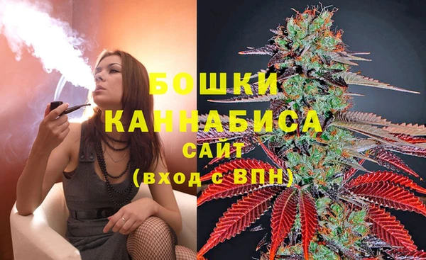 трава Алзамай