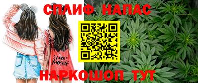 сатива Рузаевка