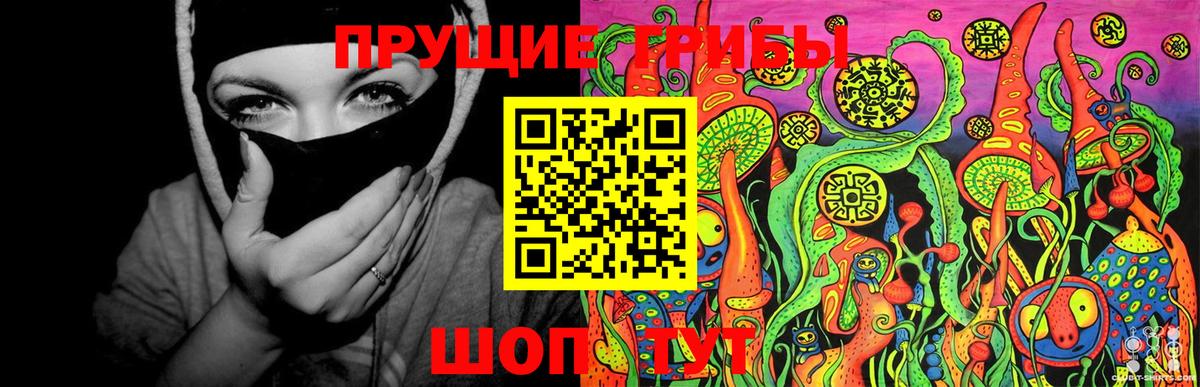 Туймазы  где купить наркоту  Вход с VPN  Галлюциногенные грибы Psilocybine cubensis 